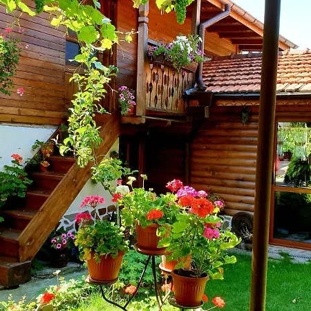 Casa de hóspedes Guest House & Bbq Bachevo 3*