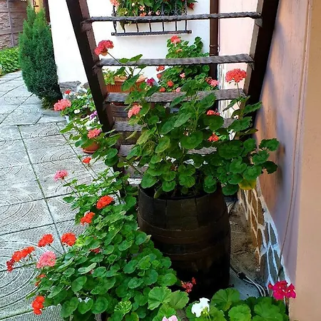 Guest House & Bbq Bachevo