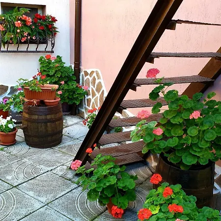 Guest House & Bbq Bachevo Casa de hóspedes Bachevo (Blagoevgrad)
